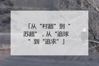 从“村超”到“苏超”，从“追球”到“追求”