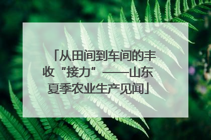 从田间到车间的丰收“接力”——山东夏季农业生产见闻