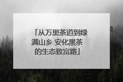 从万里茶道到绿满山乡 安化黑茶的生态致富路