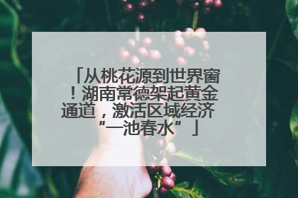 从桃花源到世界窗！湖南常德架起黄金通道，激活区域经济“一池春水”