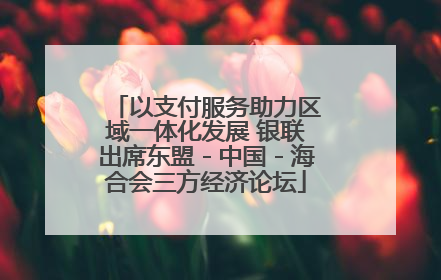 以支付服务助力区域一体化发展 银联出席东盟－中国－海合会三方经济论坛