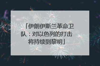 伊朗伊斯兰革命卫队：对以色列的打击将持续到黎明