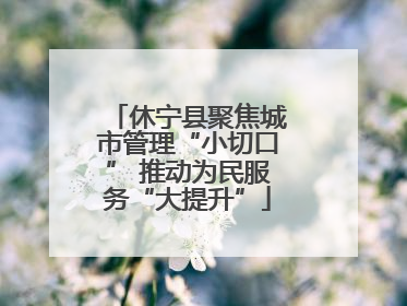休宁县聚焦城市管理“小切口” 推动为民服务“大提升”