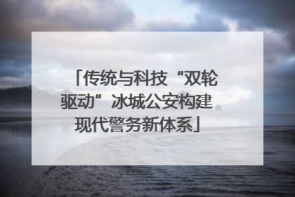 传统与科技“双轮驱动”冰城公安构建现代警务新体系