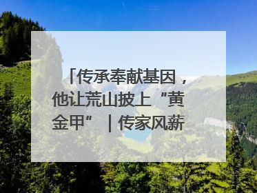 传承奉献基因，他让荒山披上“黄金甲”｜传家风薪火 颂家国情深