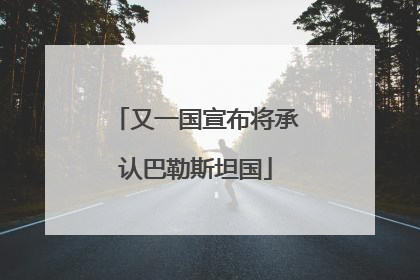 又一国宣布将承认巴勒斯坦国