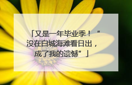 又是一年毕业季！“没在白城海滩看日出，成了我的遗憾”