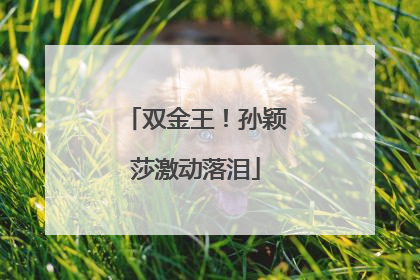 双金王！孙颖莎激动落泪