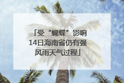 受“蝴蝶”影响 14日海南省仍有强风雨天气过程