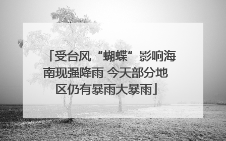 受台风“蝴蝶”影响海南现强降雨 今天部分地区仍有暴雨大暴雨