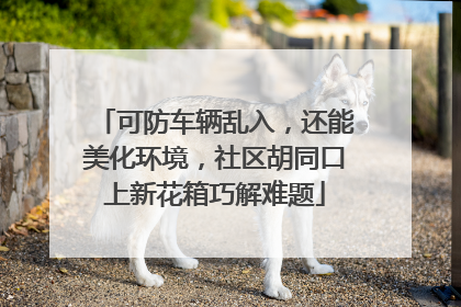 可防车辆乱入，还能美化环境，社区胡同口上新花箱巧解难题