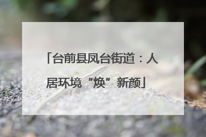 台前县凤台街道：人居环境“焕”新颜