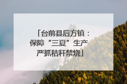 台前县后方镇：保障“三夏”生产 严抓秸秆禁烧