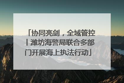 协同亮剑，全域管控丨潍坊海警局联合多部门开展海上执法行动