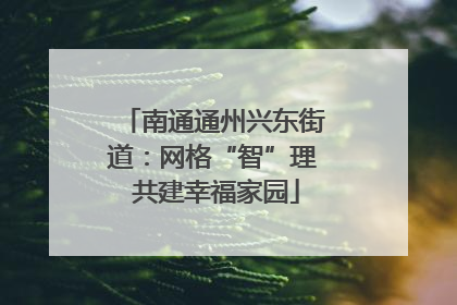 南通通州兴东街道：网格“智”理 共建幸福家园