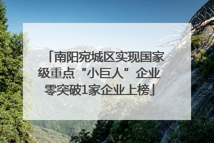 南阳宛城区实现国家级重点“小巨人”企业零突破1家企业上榜