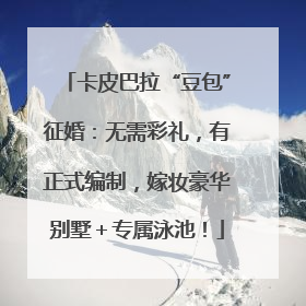 卡皮巴拉“豆包”征婚：无需彩礼，有正式编制，嫁妆豪华别墅＋专属泳池！