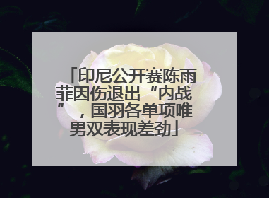 印尼公开赛陈雨菲因伤退出“内战”，国羽各单项唯男双表现差劲