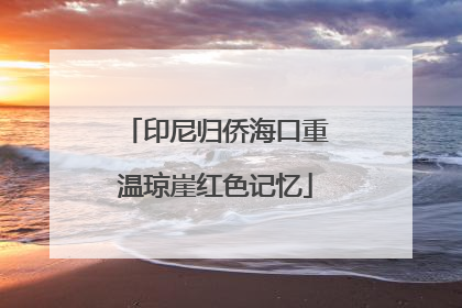 印尼归侨海口重温琼崖红色记忆