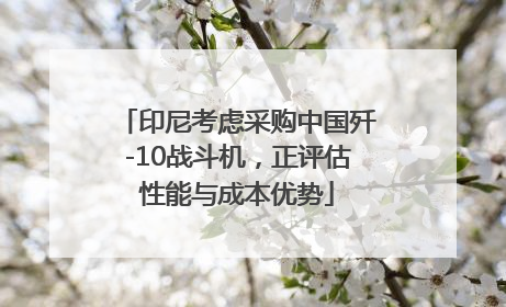 印尼考虑采购中国歼-10战斗机，正评估性能与成本优势