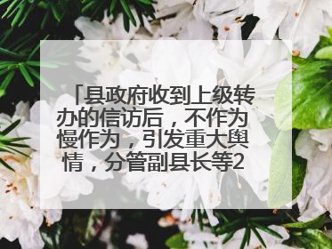 县政府收到上级转办的信访后，不作为慢作为，引发重大舆情，分管副县长等25人被处理