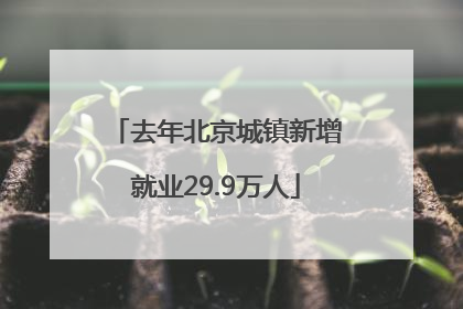 去年北京城镇新增就业29.9万人