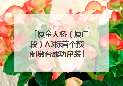 厦金大桥（厦门段）A3标首个预制墩台成功吊装