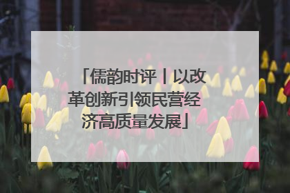 儒韵时评丨以改革创新引领民营经济高质量发展