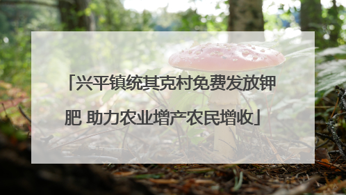 兴平镇统其克村免费发放钾肥 助力农业增产农民增收