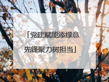 党建赋能添绿意 先锋聚力树担当