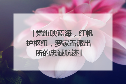 党旗映蓝海，红帆护枢纽，罗家岙派出所的忠诚航迹