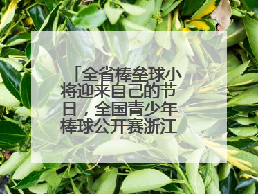 全省棒垒球小将迎来自己的节日，全国青少年棒球公开赛浙江分区赛开打