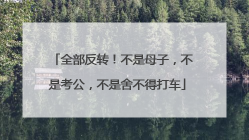 全部反转！不是母子，不是考公，不是舍不得打车