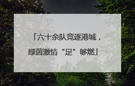 六十余队竞逐港城，绿茵激情“足”够燃