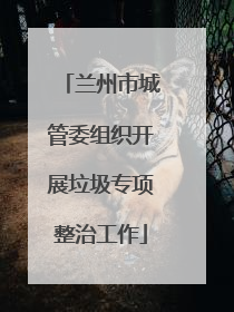 兰州市城管委组织开展垃圾专项整治工作
