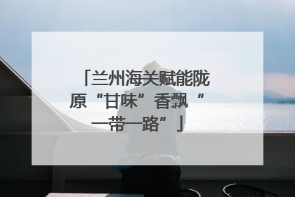 兰州海关赋能陇原“甘味”香飘“一带一路”