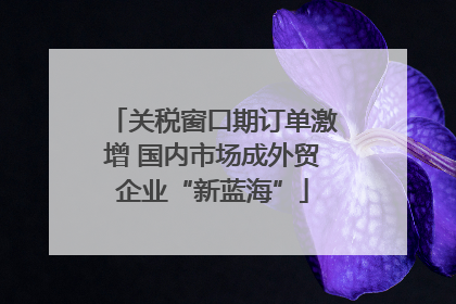 关税窗口期订单激增 国内市场成外贸企业“新蓝海”