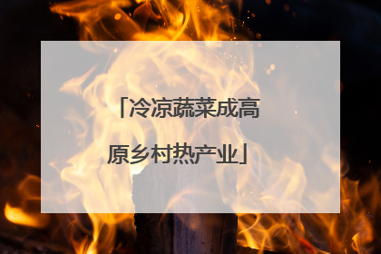 冷凉蔬菜成高原乡村热产业