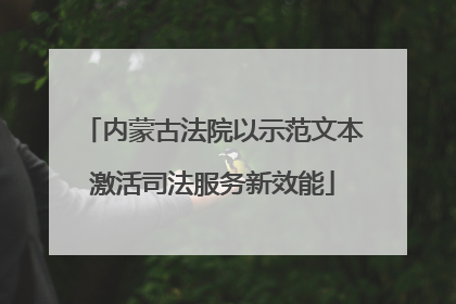 内蒙古法院以示范文本激活司法服务新效能