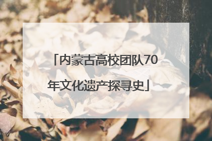 内蒙古高校团队70年文化遗产探寻史
