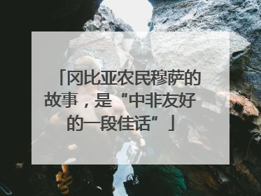 冈比亚农民穆萨的故事，是“中非友好的一段佳话”