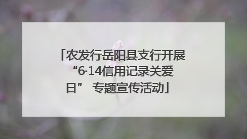 农发行岳阳县支行开展“6·14信用记录关爱日” 专题宣传活动