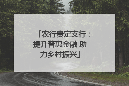 农行贵定支行：提升普惠金融 助力乡村振兴