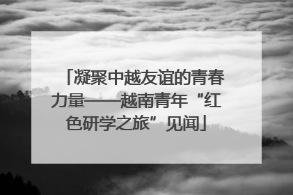 凝聚中越友谊的青春力量——越南青年“红色研学之旅”见闻