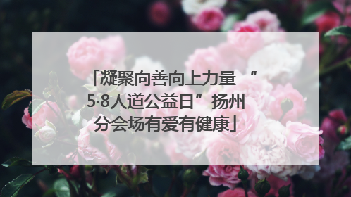 凝聚向善向上力量 “5·8人道公益日”扬州分会场有爱有健康