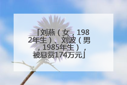 刘燕（女，1982年生）、刘波（男，1985年生），被悬赏174万元