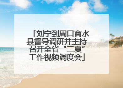 刘宁到周口商水县督导调研并主持召开全省“三夏”工作视频调度会