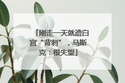 刚走一天就遭白宫“背刺”，马斯克：很失望