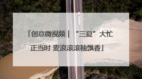 创意微视频｜“三夏”大忙正当时 麦浪滚滚穗飘香