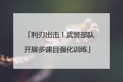 利刃出击！武警部队开展多课目强化训练